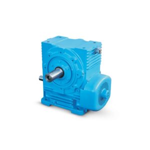 Worm Gear Medium Series